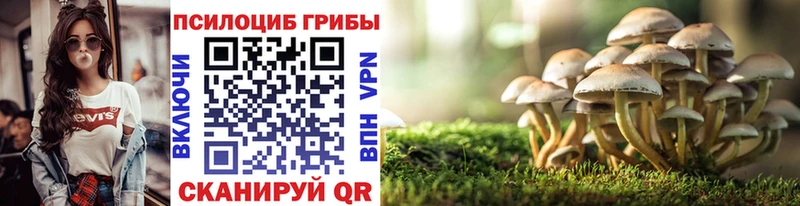 магазин    Берёзовка  Псилоцибиновые грибы Magic Shrooms 